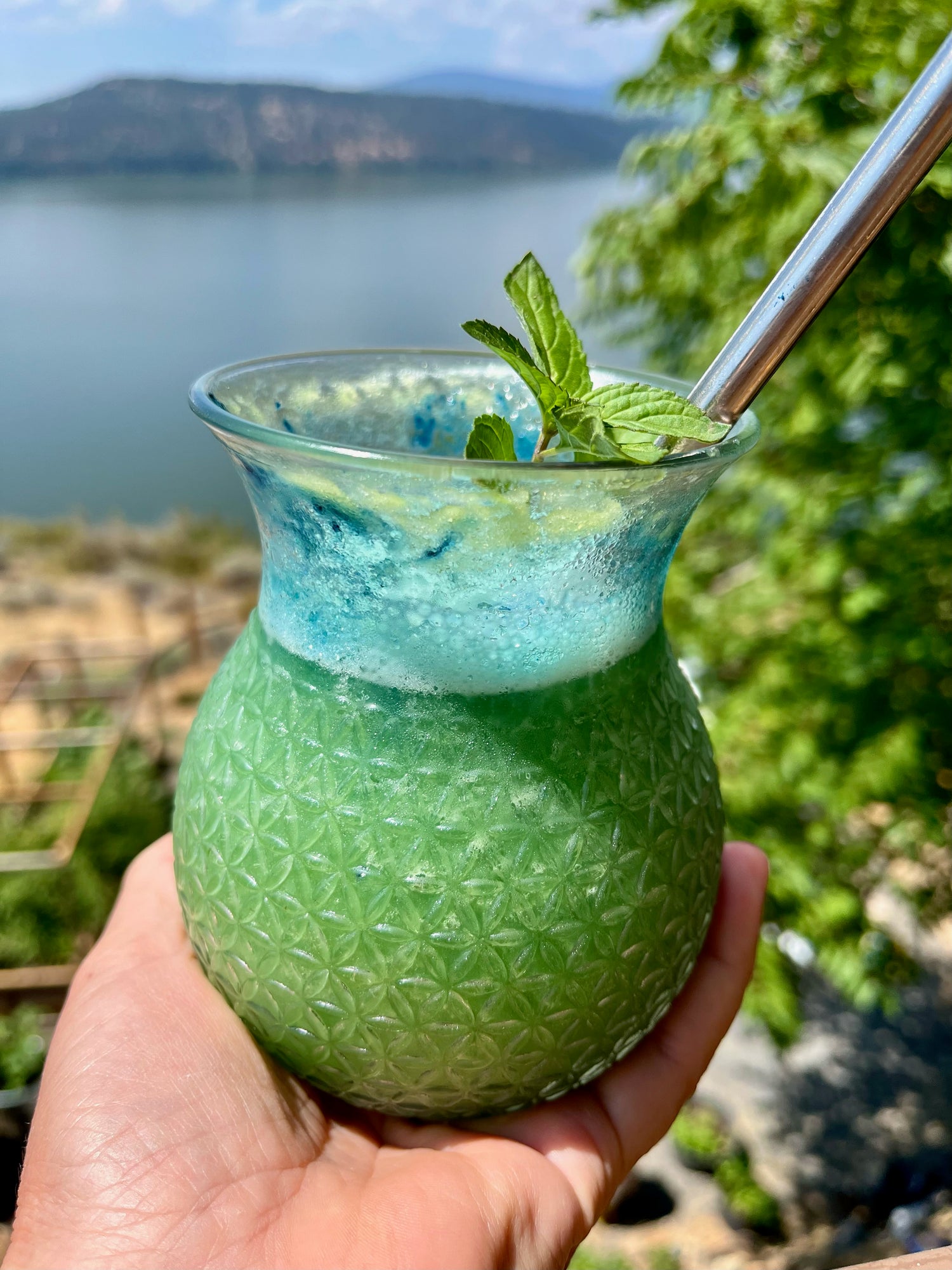 Blue-Green Mocktail Summer Cooler