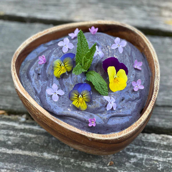 Blueberry Majik Banana Ice Cream – E3Live