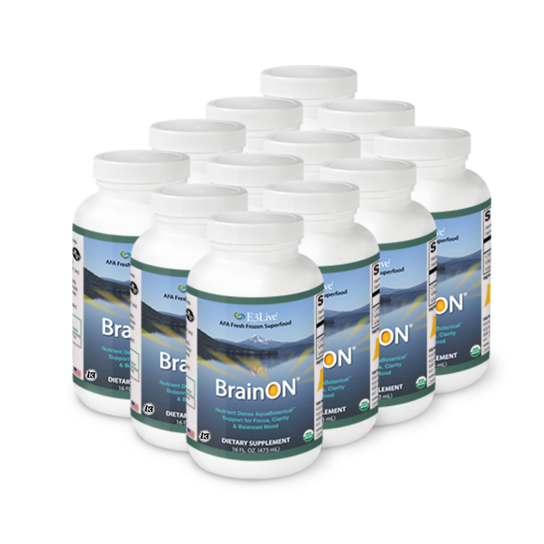 BrainON Original 16oz/473ml Pack