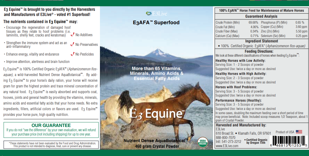 E3 Equine