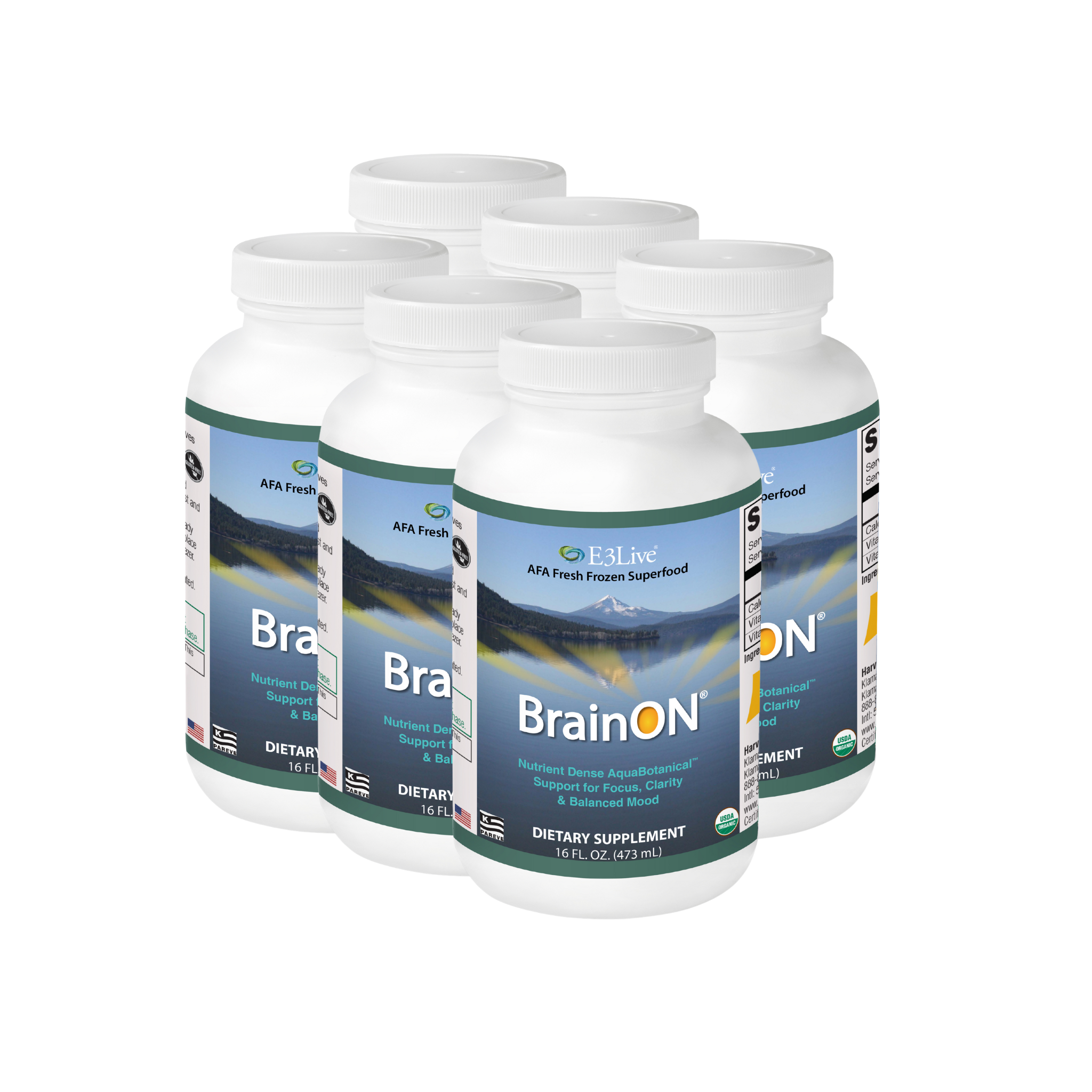 BrainON® Original 16oz/473ml Pack