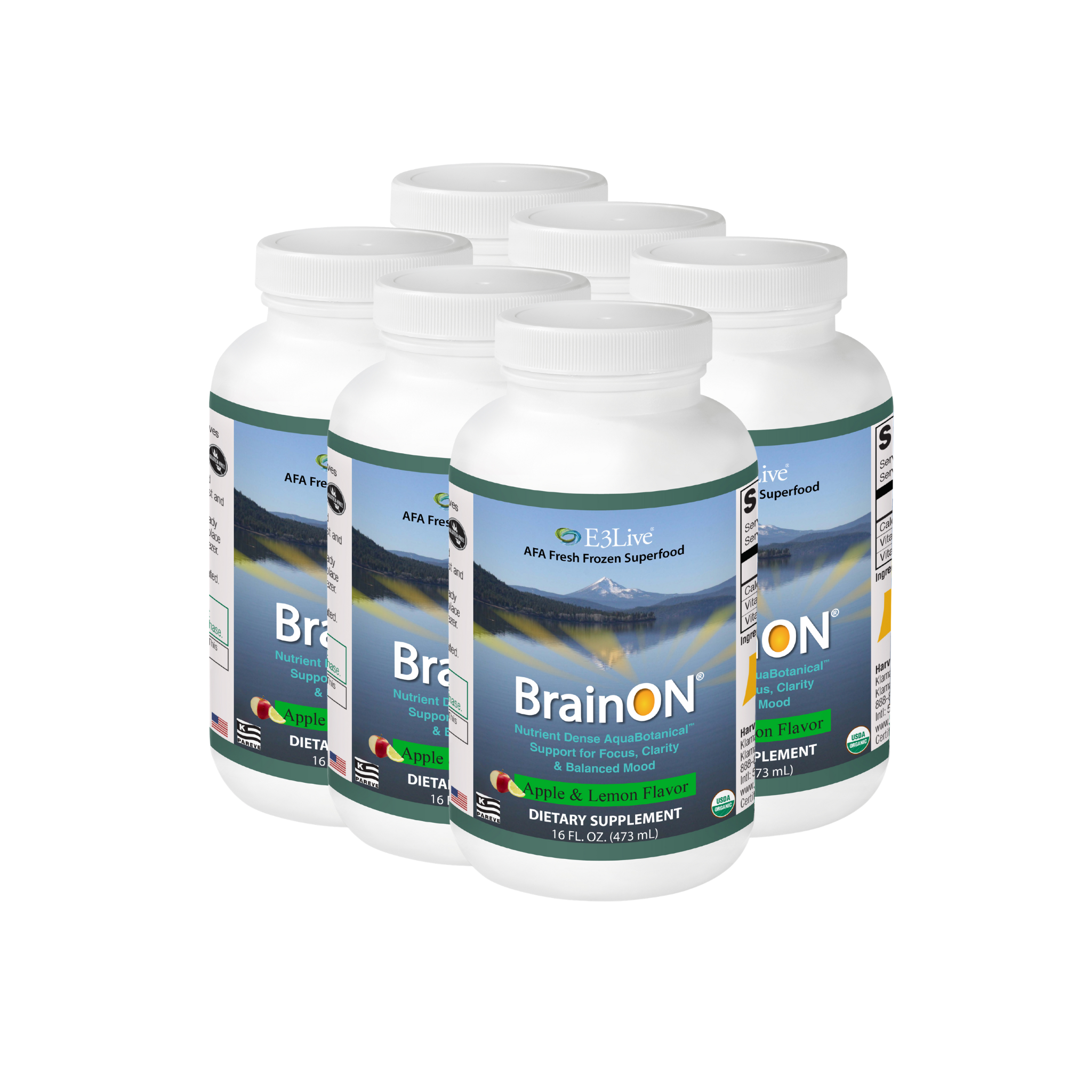 BrainON® Flavored (Apple/Lemon) 16oz/473ml