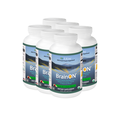 BrainON® Flavored (Apple/Lemon) 16oz/473ml Pack