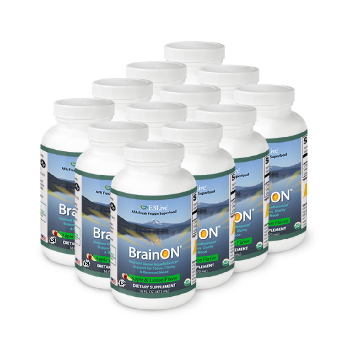 BrainON Flavored Apple and Lemon 12-pack of 16oz fresh-frozen bottles 